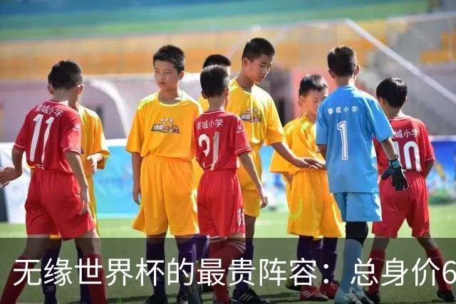 无缘世界杯的最贵阵容：总身价6.7亿 意大利5人