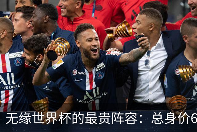 无缘世界杯的最贵阵容：总身价6.7亿 意大利5人